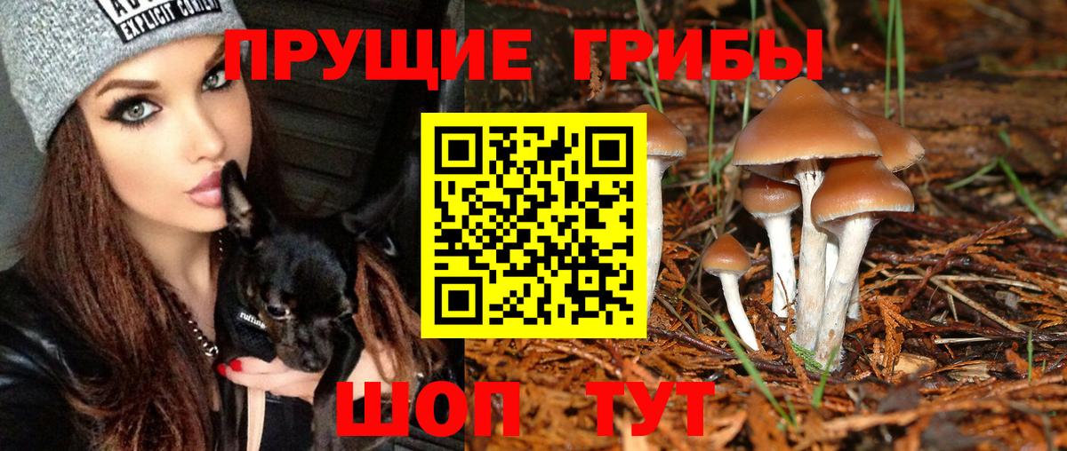 Каменка  Псилоцибиновые грибы ЛСД  Вход с VPN 
