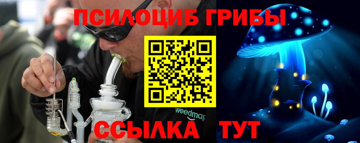 Галлюциногенные грибы Cubensis Каменка